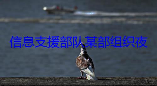 信息支援部队某部组织夜间修理训练图